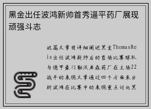黑金出任波鸿新帅首秀逼平药厂展现顽强斗志 黑金出任波鸿新帅首秀逼平药厂展现顽强斗志